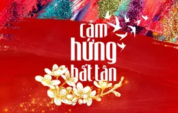 Cảm hứng bất tận 2023 - Nồng nàn vị Tết