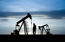 Giá dầu tăng tuần thứ hai liên tiếp