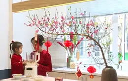 Ăn Tết xưa theo cách mới