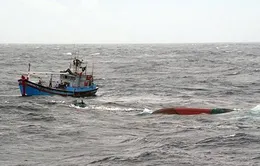Huy động tàu, thuyền hỗ trợ tìm kiếm thuyền viên mất tích
