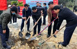 Quảng Ninh: Hơn 174 ha cây xanh được trồng mới nhân dịp phát động Tết trồng cây