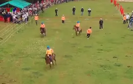 Hội đua ngựa truyền thống Gò Thì Thùng