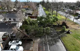 Bão nghiêm trọng ở bang California: Số người tử vong tăng lên 12