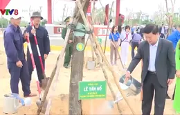 Phú Yên tổ chức lễ phát động Tết trồng cây