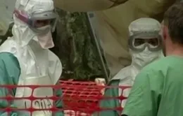 Bùng phát dịch virus Marburg có thể gây chết người như Ebola