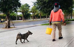 Thú cưng thả rông, không rọ mõm: Tình yêu động vật phải đi liền với trách nhiệm