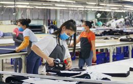 Hơn 20% doanh nghiệp tại TP Hồ Chí Minh có doanh thu tăng