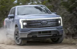 Ford tạm dừng bán hàng loạt xe vì lỗi hộp số và pin