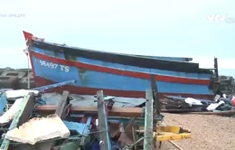 Tàu cá bị sóng đánh chìm vì biển động