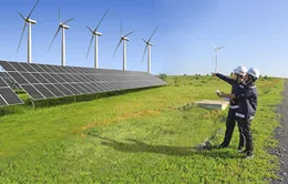 Thúc đẩy vốn tín dụng xanh
