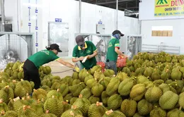 Không để lỡ nhịp tăng trưởng xuất khẩu