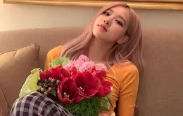 Fan BLACKPINK phẫn nộ vì hình ảnh Rose bị dùng thành gái mại dâm trong phim Quang Uyên