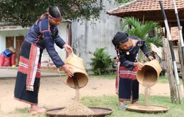 Hơn 11.000 tỷ đồng phát triển Tây Nguyên