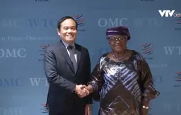 Phó Thủ tướng Trần Lưu Quang gặp lãnh đạo một số nước