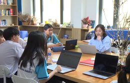 TP Hồ Chí Minh: Đưa chương trình dự bị đại học vào trường công lập