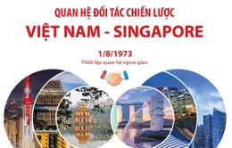 Quan hệ Đối tác chiến lược Việt Nam - Singapore