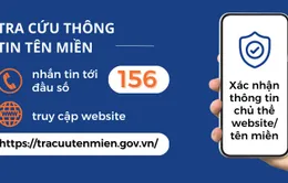 Tra cứu thông tin tên miền webiste qua đầu số 156