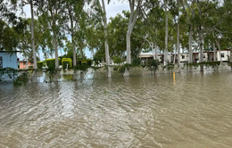 Australia: Mưa lớn gây lũ lụt nghiêm trọng, người dân bang Queensland phải sơ tán