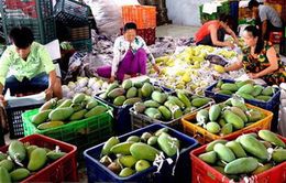 Xuất khẩu rau quả - Điểm sáng của nông nghiệp Việt Nam