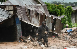 Hơn 100 người thiệt mạng khi bão Freddy tấn công Malawi và Mozambique