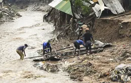 Số người tử vong do bão Freddy tại Malawi và Mozambique vượt 300