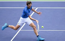 Daniil Medvedev thẳng tiến vào bán kết đơn nam Indian Wells