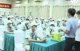 Hàn Quốc cần tuyển hơn 12.000 lao động Việt Nam