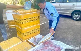 Thu giữ gần 1 tấn thực phẩm không rõ nguồn gốc trên đường tới Đà Nẵng