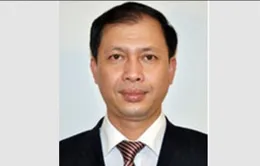 Bắt nguyên Tổng giám đốc Công ty Coma 18