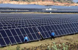 Bộ Công Thương thông tin lý do dừng huy động hơn 172 MW điện mặt trời Trung Nam