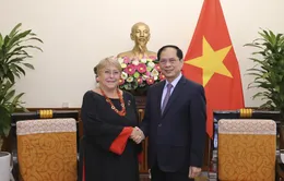 Việt Nam luôn coi trọng quan hệ Đối tác toàn diện với Chile