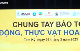 Phát động chương trình "Tam Kỳ - Thành phố không thịt động vật hoang dã"