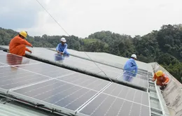TP Hồ Chí Minh xin cơ chế đặc thù đầu tư điện mặt trời mái nhà