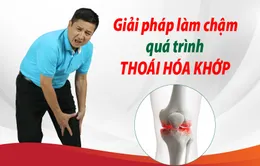 Giải pháp làm chậm quá trình thoái hóa khớp