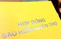 Ngân hàng Nhà nước: Các ngân hàng nên cân nhắc liên kết với nhiều hơn một đại lý bảo hiểm