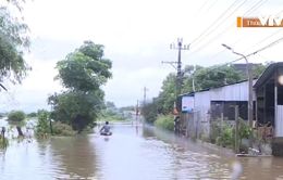 Mưa lớn gây ngập cục bộ ở Thừa Thiên Huế, đê sông Lam (Nghệ An) sạt lở nghiêm trọng