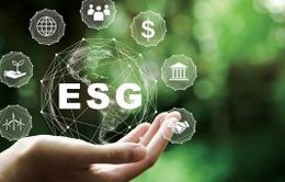 Châu Âu hỗ trợ doanh nghiệp nhỏ và vừa Việt Nam thực hành ESG