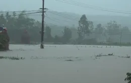 Quảng Ngãi cảnh báo lũ trên sông và ngập lụt vùng trũng thấp