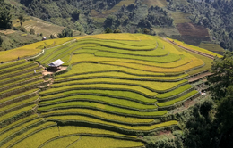 Gia tăng dịch vụ, thúc đẩy du lịch địa phương tại Mù Cang Chải