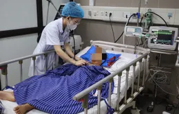 Bắt rắn chơi, bé trai 7 tuổi bị rắn độc cắn nguy kịch