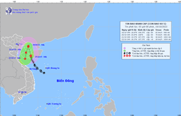 Bão số 5 giật cấp 10, vùng ven biển gió mạnh dần