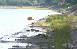 Hồ Linh Đàm bị xả nước thải đen bốc mùi hôi thối, cỏ mọc um tùm