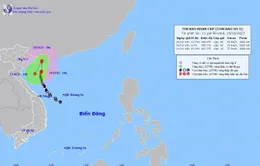 Bão số 5 di chuyển theo hướng Bắc với tốc độ khoảng 10km/giờ