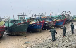 Ứng phó với bão số 5: Quảng Ninh tạm ngừng cấp phép cho các phương tiện thủy ra khơi
