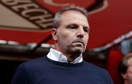 Ajax Amsterdam chia tay HLV trưởng Maurice Steijn