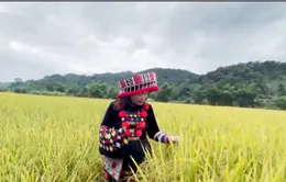 Làm giàu từ tài nguyên văn hóa