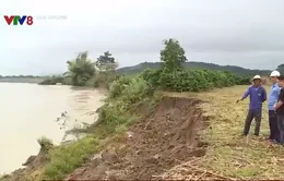 Sông Krông Nô sạt lở nghiêm trọng