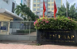 Sở Tư pháp TP Hồ Chí Minh: Đã cấp hơn 11.000 phiếu lý lịch tư pháp trong tháng 10