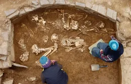 Khai quật hầm mộ 5.000 năm tuổi gồm hàng chục bộ xương người tiền sử tại Scotland