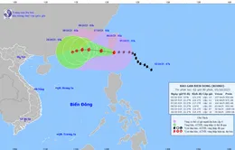 Bão Koinu gây gió mạnh, sóng lớn trên biển